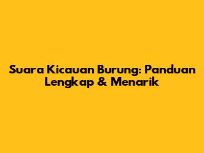 Suara Kicauan Burung: Panduan Lengkap & Menarik