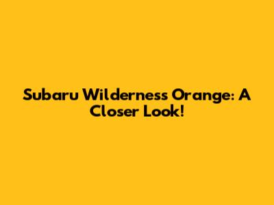 Subaru Wilderness Orange: A Closer Look!