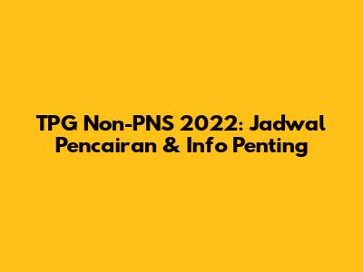 TPG Non-PNS 2022: Jadwal Pencairan & Info Penting