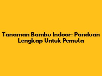 Tanaman Bambu Indoor: Panduan Lengkap Untuk Pemula