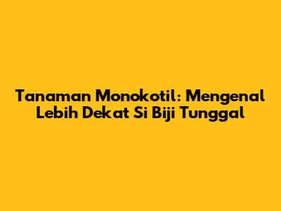 Tanaman Monokotil: Mengenal Lebih Dekat Si Biji Tunggal