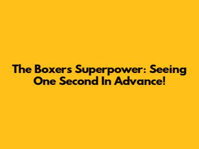 The Boxer's Superpower: Seeing One Second In Advance!