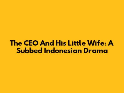 The CEO And His Little Wife: A Subbed Indonesian Drama