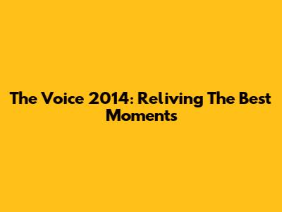 The Voice 2014: Reliving The Best Moments