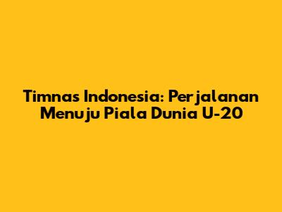Timnas Indonesia: Perjalanan Menuju Piala Dunia U-20