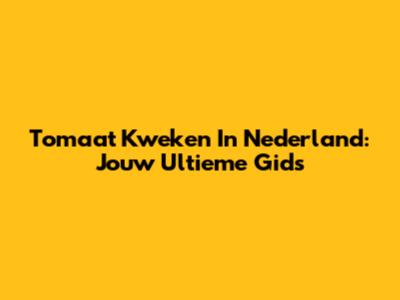 Tomaat Kweken In Nederland: Jouw Ultieme Gids