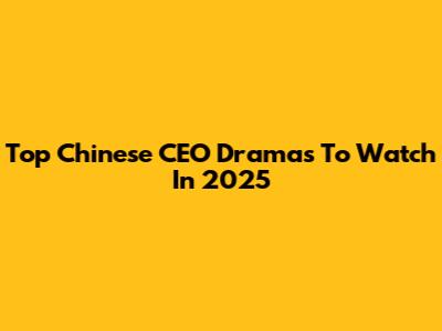 Top Chinese CEO Dramas To Watch In 2025
