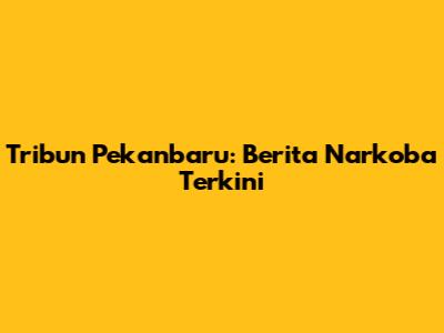 Tribun Pekanbaru: Berita Narkoba Terkini