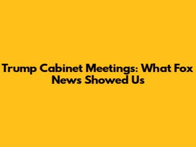 Trump Cabinet Meetings: What Fox News Showed Us