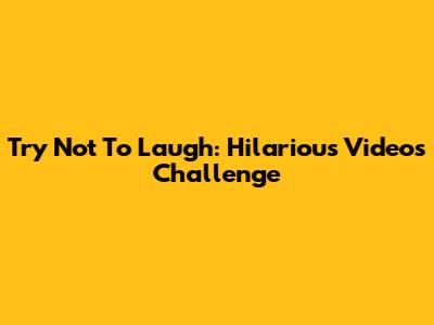 Try Not To Laugh: Hilarious Videos Challenge