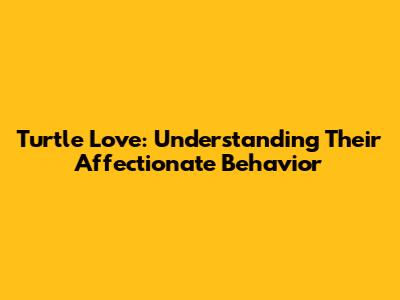 Turtle Love: Understanding Their Affectionate Behavior