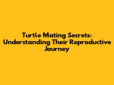 Turtle Mating Secrets: Understanding Their Reproductive Journey