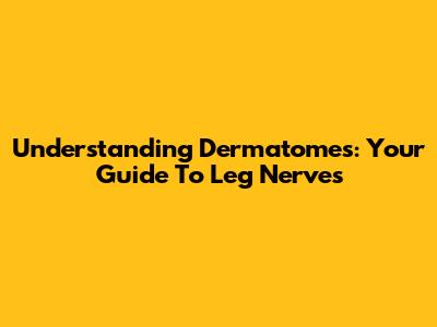 Understanding Dermatomes: Your Guide To Leg Nerves