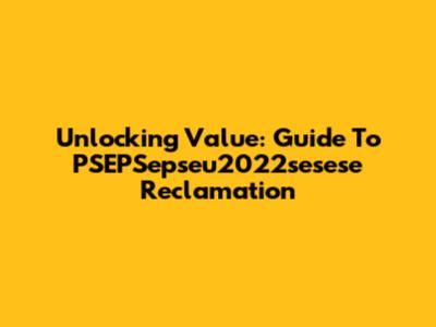 Unlocking Value: Guide To PSEPSepseu2022sesese Reclamation