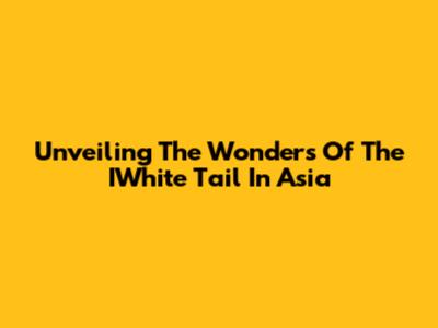 Unveiling The Wonders Of The IWhite Tail In Asia
