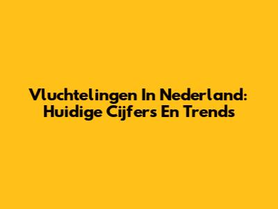 Vluchtelingen In Nederland: Huidige Cijfers En Trends