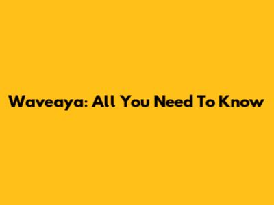 Waveaya: All You Need To Know
