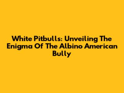 White Pitbulls: Unveiling The Enigma Of The Albino American Bully