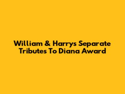 William & Harry's Separate Tributes To Diana Award