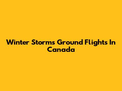 Winter Storms Ground Flights In Canada
