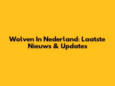 Wolven In Nederland: Laatste Nieuws & Updates