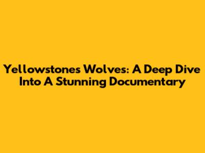 Yellowstone's Wolves: A Deep Dive Into A Stunning Documentary