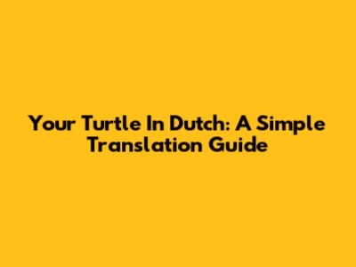 Your Turtle In Dutch: A Simple Translation Guide
