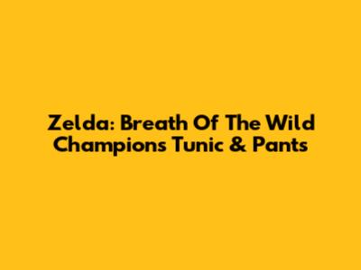 Zelda: Breath Of The Wild Champion's Tunic & Pants