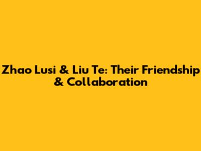 Zhao Lusi & Liu Te: Their Friendship & Collaboration