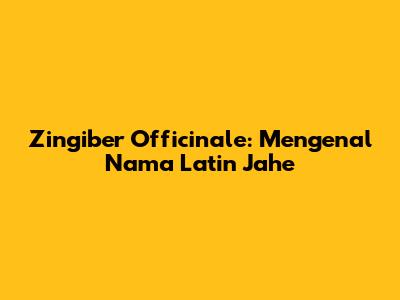 Zingiber Officinale: Mengenal Nama Latin Jahe